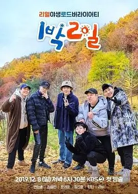 脑力闯关局 益智竞技综艺在线观看